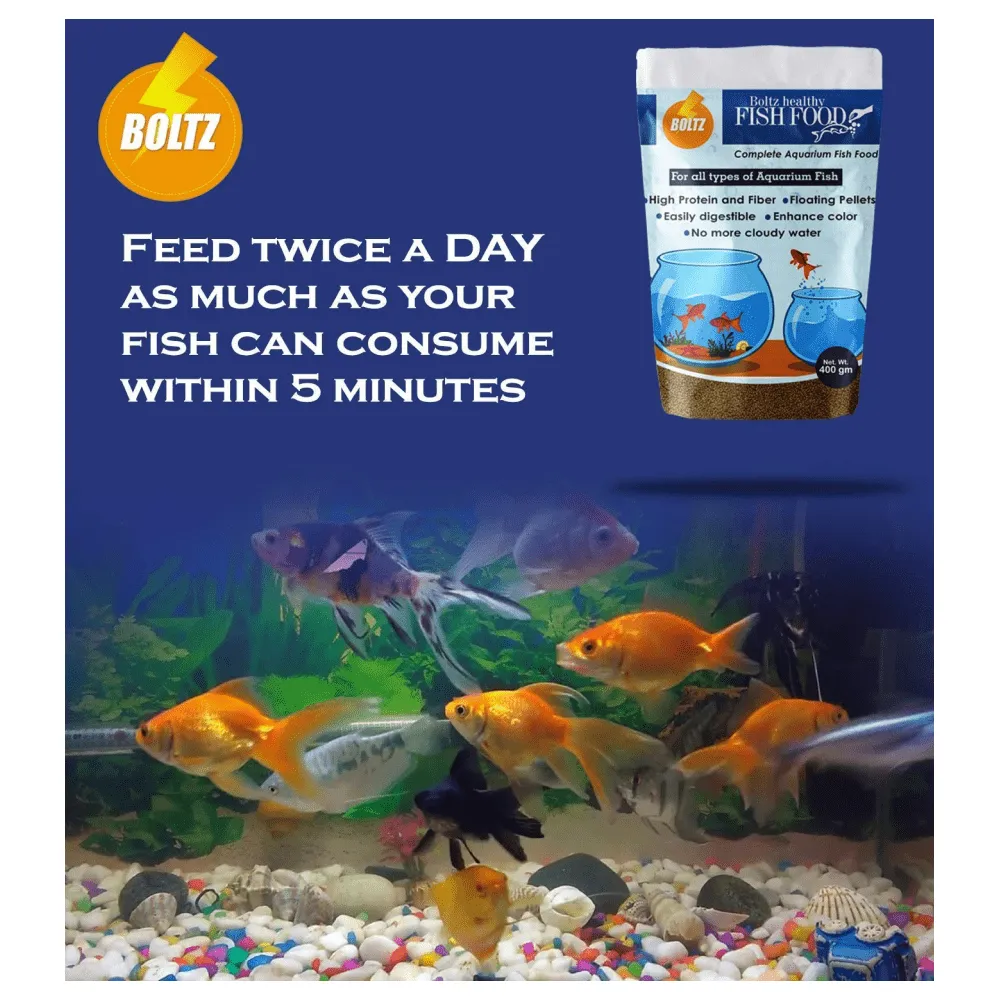Boltz Healthy Fish Food (Buy 1 Get 1) (Limited Shelf Life)