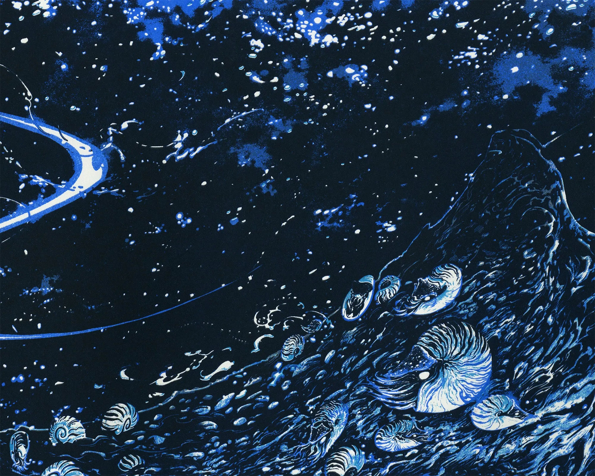 Nautilus Grave