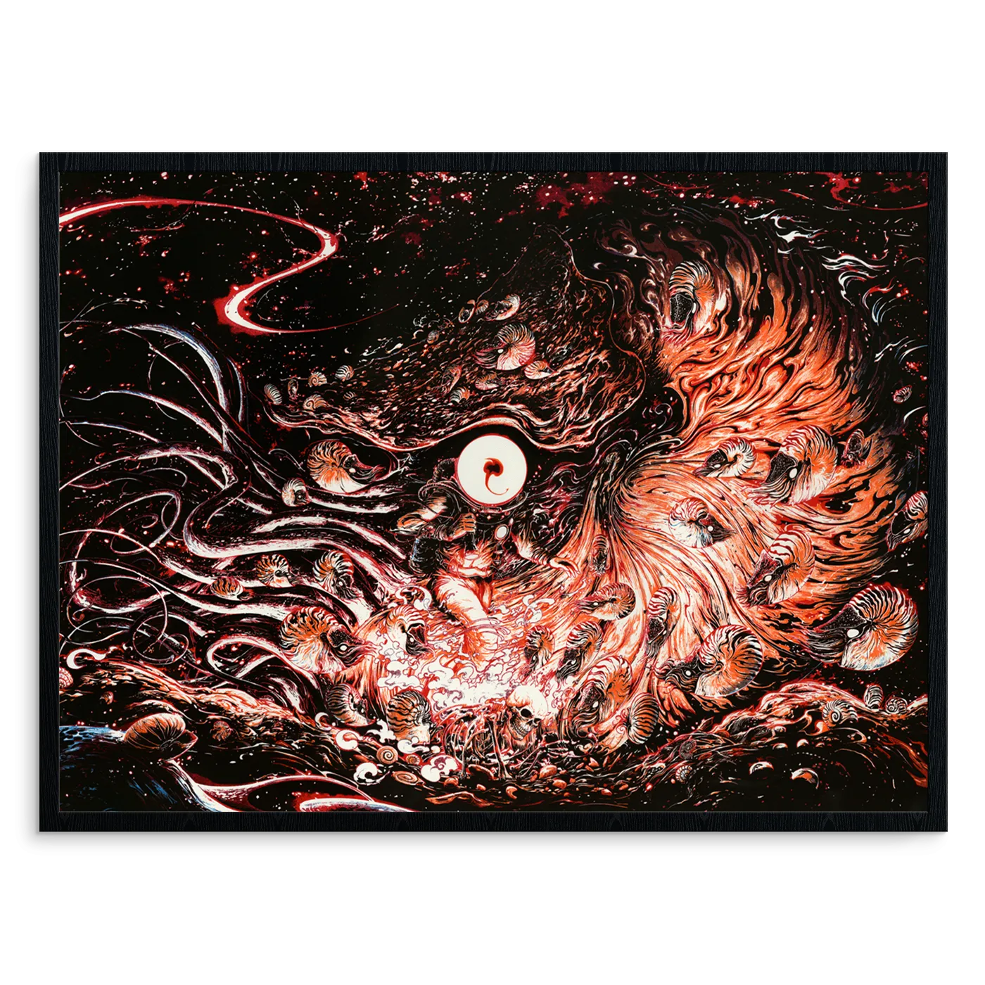 Nautilus Grave